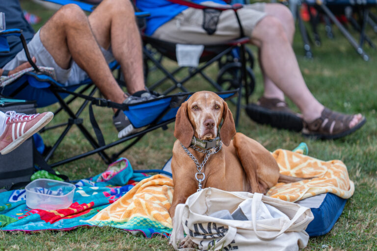 Rock The Lake Show 3-73